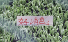 好消息！北京國(guó)安10號(hào)發(fā)文報(bào)平安 之前入選5月官方最佳候選人