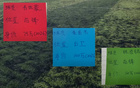 成都韋世豪  申花朱辰杰 算是今年中超本土球員發(fā)揮最好