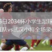 2026年7月25日2034杯小學生足球大會第1輪中國足球小將紅隊vs武漢小將全場錄像回放