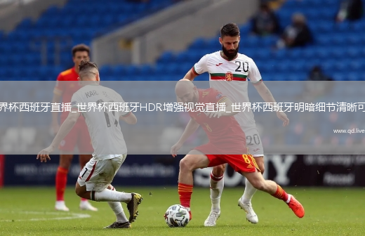 世界杯西班牙直播_世界杯西班牙HDR增強(qiáng)視覺(jué)直播_世界杯西班牙明暗細(xì)節(jié)清晰可見(jiàn)